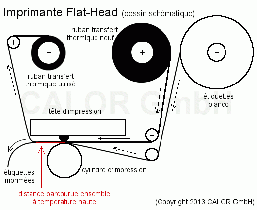 Imprimante flat-head avec un ruban transfert thermique et des étiquettes